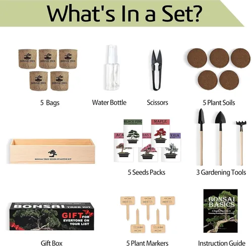 Miniatura 2 de Meekear Kit de árbol bonsái con kit completo de iniciación de crecimiento, gran regalo de bricolaje para cultivar en maceta para adultos