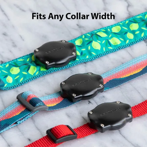 Miniatura 6 de Elevation Lab Soporte para collar de perro AirTag - Impermeable (paquete de 2) Seguro, duradero, se adapta a cualquier ancho de cuello, no se