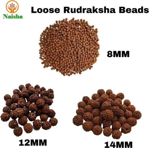 Miniatura 5 de Naisha Natural Rudraksh - 121 cuentas sueltas de Rudraksha Mala, cuentas de oración genuinas de meditación del Himalaya, cuentas Bodhi de 0.35-0.55