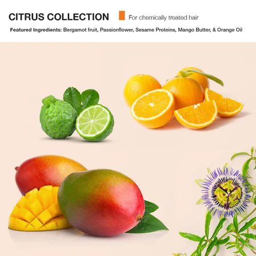 Miniatura 4 de MOP C System Acondicionador Hidratante Citrus 8 Fl Oz