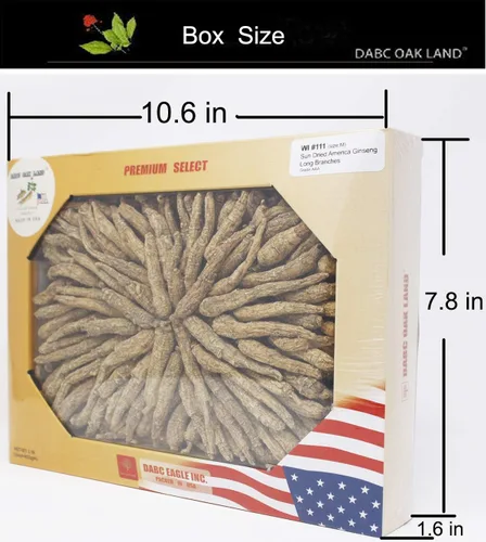 DOL 1 lb / 16 oz (453 gm)/caja seleccionada a mano Wisconsin granja Ginseng raíz, largo, mediano de 0.6 in / 3.0 ft de alto, cultivado Wisconsin