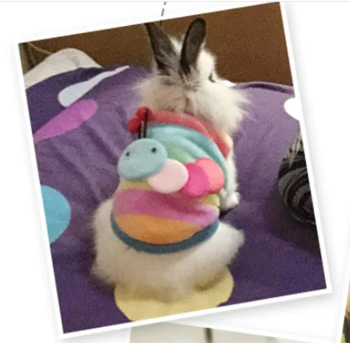 Miniatura 4 de ANIAC Disfraz para mascota, ropa de conejo, chaleco suave de conejo, camiseta acogedora para gatito, hurón, chihuahua, cachorro y animales pequeños