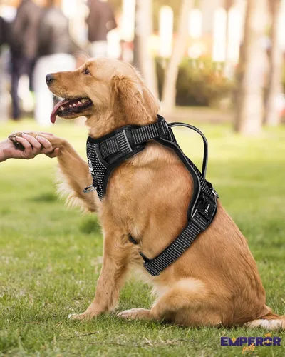Miniatura 8 de Emperor Pets Arnés sin tirones para perros pequeños, chaleco Oxford reflectante acolchado suave, 2 clips para correa, ajuste ligero ajustable, negro