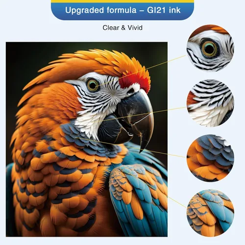Miniatura 6 de Botellas de tinta Topcolor GI-21 G3270 G3260 compatibles para Canon 21 GI-21 GI21, juego de botellas de recarga de tinta, compatibles