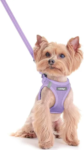 Miniatura 29 de rabbitgoo Juego de arnés para perro de tamaño pequeño y correa, chaleco ligero suave para cachorro, arnés de malla transpirable para mascotas