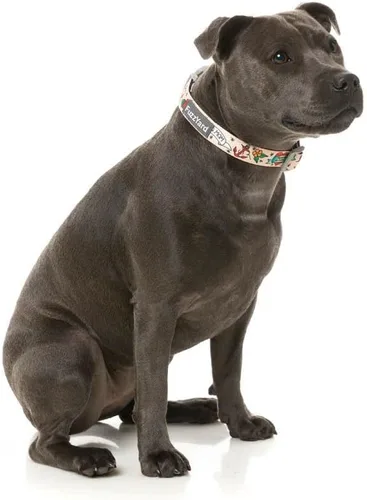 Miniatura 2 de FuzzYard Ink'd Up - Collar de perro de la vieja escuela, diseño de tatuaje, ajustable con cierre de seguridad (pequeño)