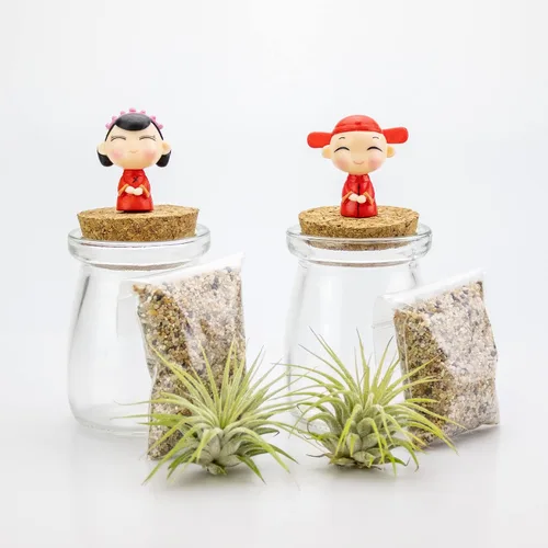 Miniatura 4 de Kit de terrario de 3 pulgadas con mini tarro de vidrio de Tillandsia Ionantha vivo, arena, vidrio marino de colores y figura miniatura para jardines