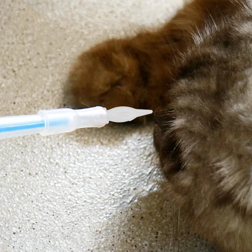 Miniatura 7 de Mikikit 20 pezones duraderos para gatitos y cachorros, para una fácil alimentación, para gatitos y cachorros recién nacidos, diseño portátil ligero