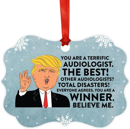 Miniatura 24 de Andaz Press Presidente Donald Trump Fancy Frame Recuerdo Adorno de Navidad Regalo de broma Ejecutivo de Cuenta, 1 paquete, Divertidas Ideas
