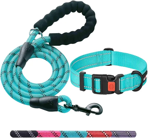 Ladoogo Correa para perro resistente, mango acolchado cómodo, 5 pies de largo - Correas para perros pequeños, medianos y grandes (correa + collar S