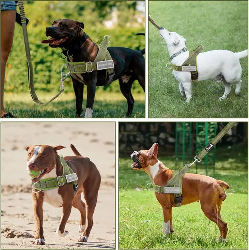 Miniatura 8 de Arnés para perro SlowTon sin tirones - Juego de arnés y correa para perros resistentes para perros medianos y grandes, arnés táctico reflectante