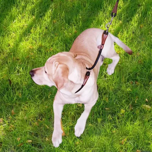 Miniatura 8 de MayPaw Collar ajustable de cuerda de nailon para entrenamiento de perros, collares de perro Martingala redondos sin tirones para perros pequeños