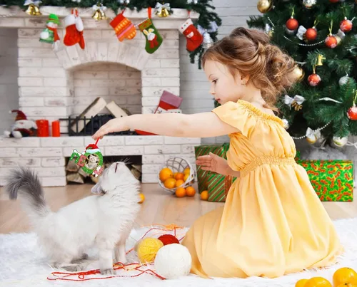 Miniatura 4 de Whatsign Adornos de marco de fotos de gatos, decoración de recuerdo colgante de Navidad para árbol de Navidad, adornos personalizados para gatos