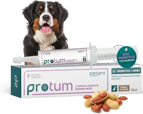 Protum - Pasta probiótica para perros, fórmula prebiótica avanzada de 1.0 fl oz para apoyo digestivo, sabroso sabor a maní para la salud intestinal