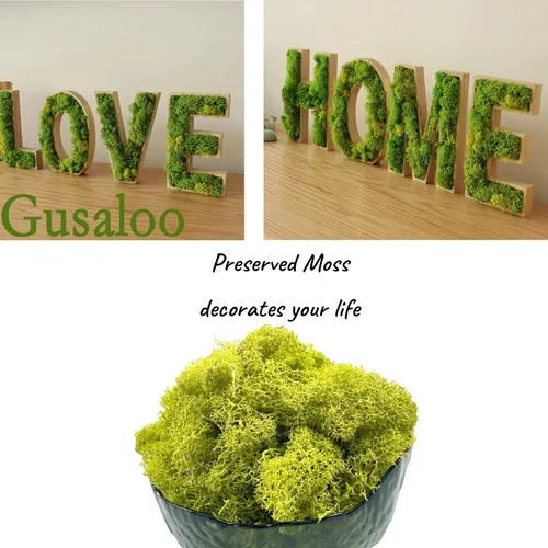 Miniatura 3 de Musgo artificial preservado de musgo para plantas en maceta, musgo verde fresco natural para manualidades, decoración de pared floral, centros