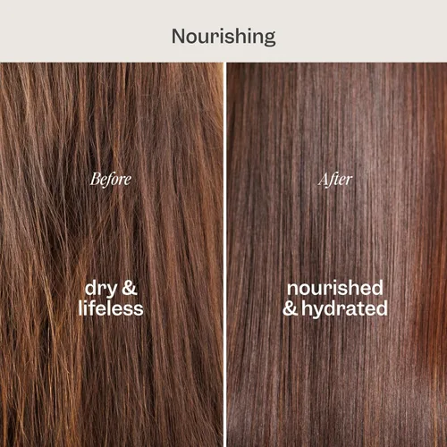 Miniatura 4 de RENPURE Acondicionador natural sin enjuague a base de plantas, vitamina E hidratante y aceite de coco, acondicionador profundo para cabello y barba