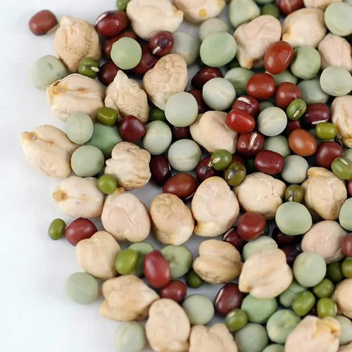 Miniatura 2 de Protein Powerhouse - Mezcla de semillas para brotes: 8 onzas, orgánica, sin OMG, brotes germinantes, almacenamiento de alimentos. Brotes de alto