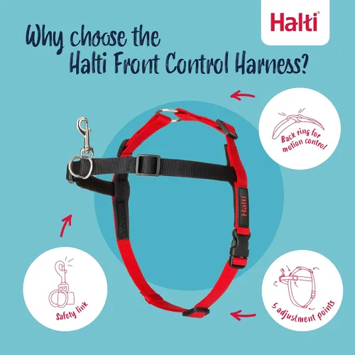 Miniatura 3 de Halti Arnés de control frontal tamaño mediano y correa de entrenamiento Halti tamaño grande, paquete combinado negro – evita que tu perro tire
