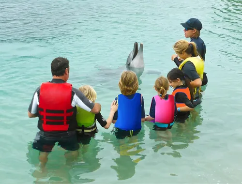 Miniatura 6 de Chaleco de natación para niños pequeños Chalecos flotadores para niños y niñas Chaqueta de natación con flotador Traje de baño con flotabilidad