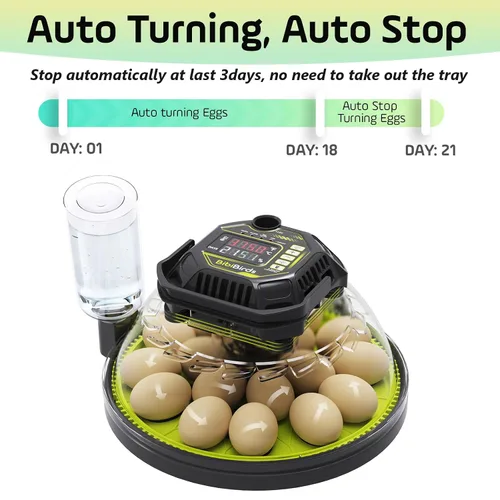 Miniatura 2 de Incubadora de 18 huevos con contador automático de día de giro de huevos y atomizador para control automático de humedad, bloqueo automático