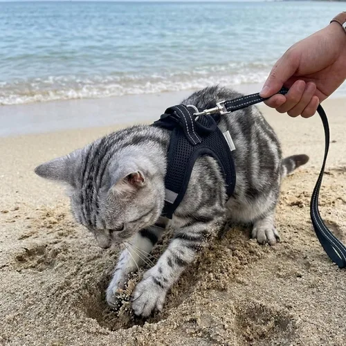 Miniatura 7 de Heywean Arnés y correa para gatos a prueba de escape, suave malla transpirable chaleco para caminar para gatitos, juego de arnés ajustable con tira