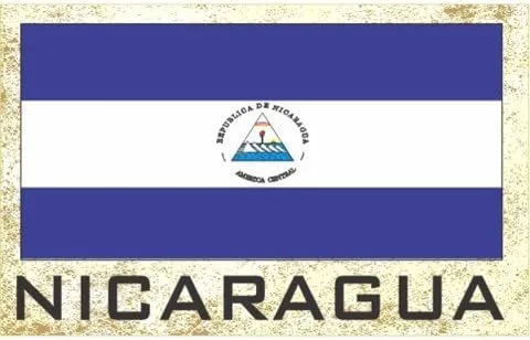 Miniatura 7 de Imanes para frigorífico con bandera - Americas Grp 2 (paquete de 1, País: Paraguay)
