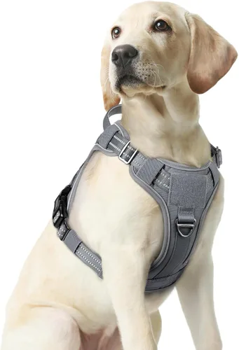 Miniatura 31 de rabbitgoo - Arnés para perros pequeño sin tirones, chaleco táctico de servicio con Molle y asa de control, arnés militar ajustable y reflectante