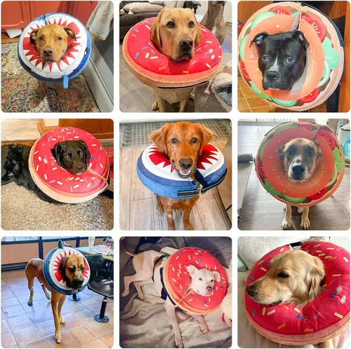 Miniatura 3 de BEAUTYZOO Alternativa al cono para perro después de la cirugía para perros grandes, medianos y pequeños, collar de cono inflable suave para perros