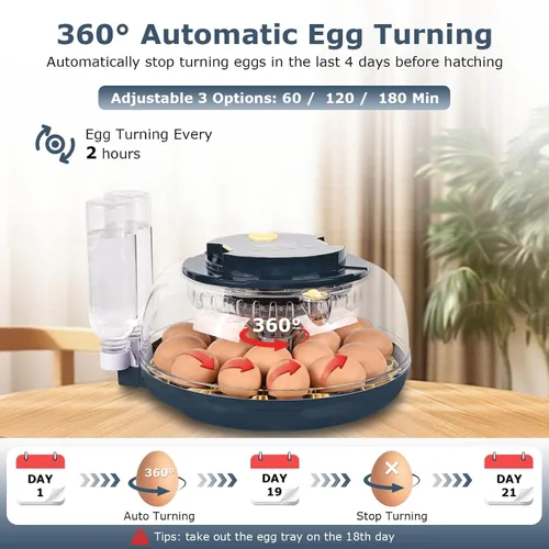 Miniatura 5 de Incubadoras para incubar huevos, incubadora de 18 huevos con vela de huevos, girador automático de huevos, control de temperatura y humedad, día