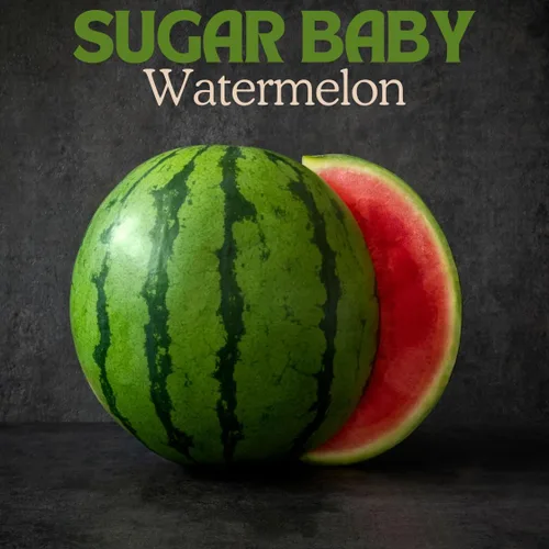 Miniatura 2 de Brownie Brand Sugar Baby - Semillas de sandía – Variedad de melón dulce, compacta y de alto rendimiento para jardinería en el hogar – Perfecto