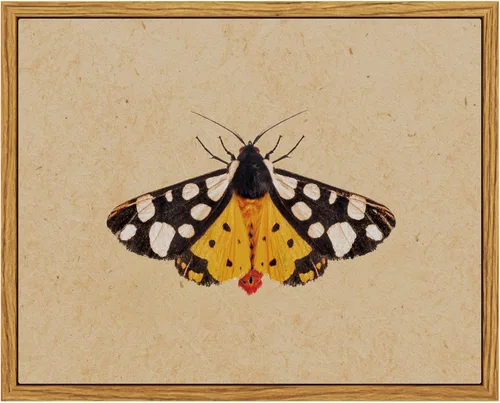 InSimSea Arte de pared de insectos enmarcado, arte de lienzo vintage, pintura al óleo minimalista de insectos, decoración temática de la naturaleza