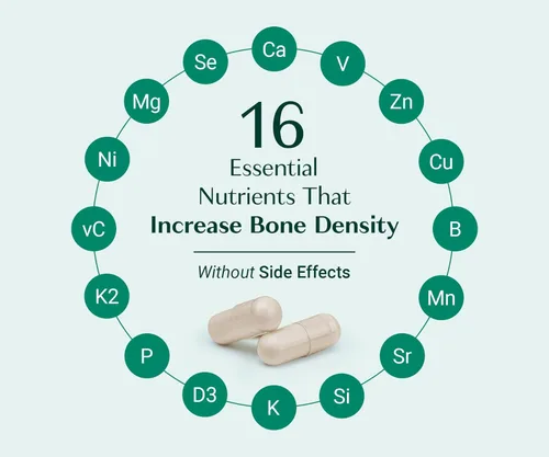 Miniatura 5 de ALGAECAL Suplemento orgánico de calcio de algas rojas para densidad ósea, vitamina K2 MK7 (100 mg), vitamina D3 (1600 UI), magnesio (350 mg)