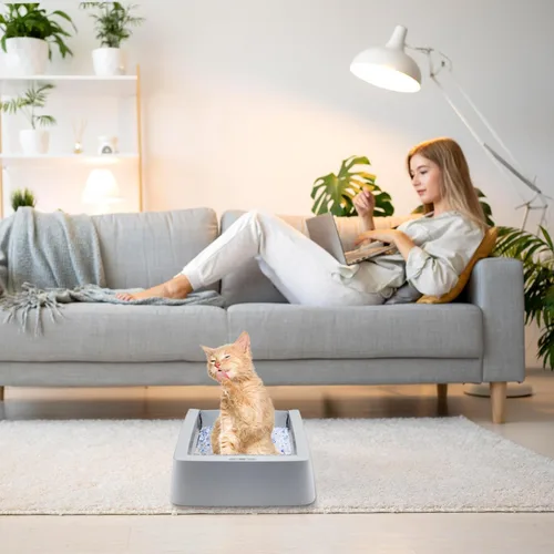 Miniatura 6 de Bandeja de arena reutilizable de acero inoxidable compatible con cajas de arena autolimpiantes para gatos sin cuchara Petsafe – Nunca absorbe