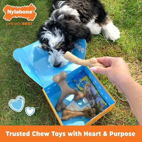 Miniatura 2 de Nylabone Caja de Regalo para Cachorros, Incluye 3 Fuertes Juguetes para Masticación de Cachorros y 1 Hueso de Golosina Natural para Cachorros