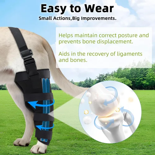 Miniatura 5 de Rodilleras ortopédicas para perros, rodillera para perro para ligamento cruzado y soporte de pierna trasera, soporte canino para recuperación
