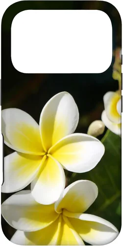 Miniatura 29 de iPhone 12/12 Pro Plumeria Flower - Carcasa amarilla