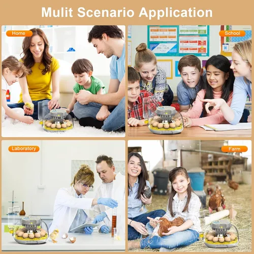 Miniatura 7 de Incubadora para incubar huevos: capacidad de 12 huevos, nuevo cambiador automático de huevos 2026, control de temperatura y humedad, visualización