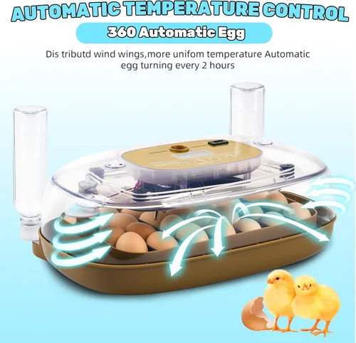 Miniatura 5 de Ploomi Incubadora de 24 huevos con recarga automática de agua y control de humedad, girador automático de huevos, vela LED integrada, preprogramas