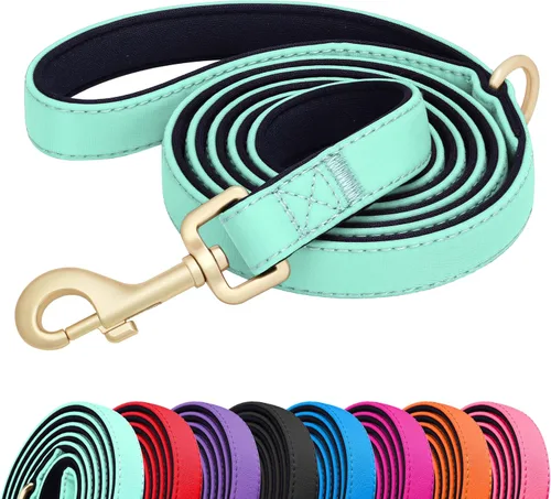 Miniatura 10 de Didog Correa para perro de nailon colorido de 5 pies con acolchado suave de longitud completa, ligera y duradera para perros pequeños, negro, S