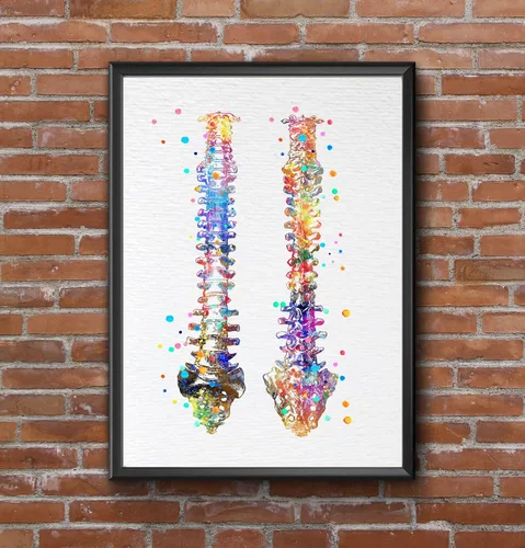 Miniatura 8 de Dignovel Studios 8X10 sin marco de la columna vertebral humana anatomía ósea médico médico acuarela arte impresión cartel inauguración casa giclée