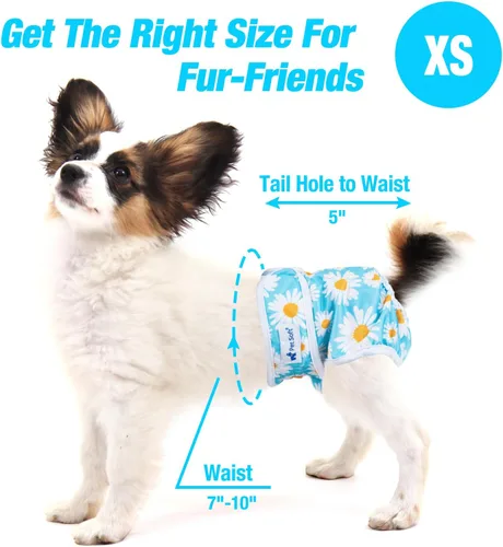 Miniatura 3 de Pet Soft Pañales para perras, paquete de 3 pañales lavables para perros en celo, reutilizables, bragas de período, pañales para cachorros hembra