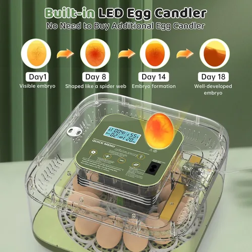 Miniatura 4 de Incubadoras para incubar huevos de 12 huevos, incubadora digital de huevos de precisión, control automático de humedad de temperatura de 6