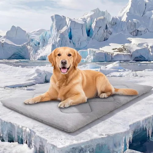 Miniatura 16 de ASENKU Tapete refrescante para perros, portátil y duradero, absorción física del calor, cama refrescante antideslizante y transpirable de verano Azul