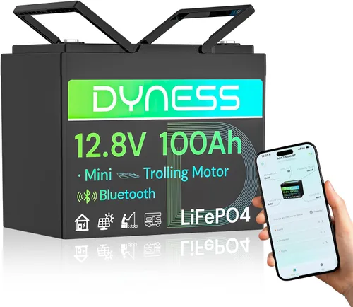 Miniatura 12 de Dyness Batería LiFePO4 de 24 V 100 Ah, batería de litio de 25.6 V con potencia de 2560 Wh, BMS integrado de 100 A con protección a baja temperatura