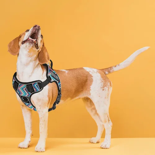 Miniatura 8 de Dogline Quest - Arnés para perro sin tirones con soporte emocional parches reflectantes extraíbles suave y cómodo chaleco para perro con hebilla