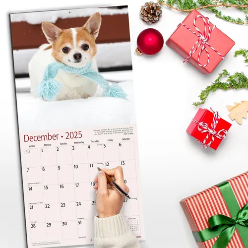 Miniatura 5 de RED EMBER Chihuahua Puppies 2025 Calendario de pared de 12 meses 12 x 24 pulgadas abierto Papel grueso y resistente Regalo Calendario 2025