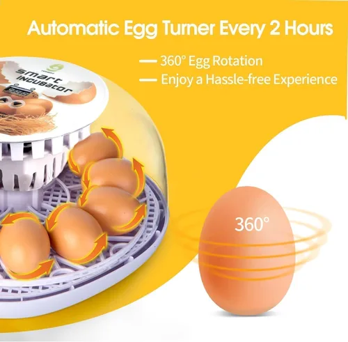 Miniatura 3 de ZEMIRO CHARGE Incubadora de 12 huevos para incubar huevos con girador automático de huevos, control de temperatura, adición automática de agua