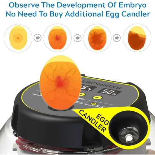 Miniatura 5 de KEBONNIXS Incubadora de 12 huevos con pantalla de humedad, velador de huevos, girador automático de huevos, para incubar pollos