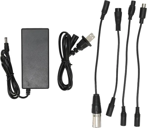 Cargador de batería de 42V 2A, adaptador de fuente de alimentación universal portátil para batería de litio de 36V