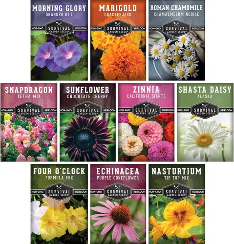 Colección de 10 semillas de flores para plantar | Zinnia, girasol, caléndula, boca de dragón, capuchina, gloria de la mañana, manzanilla, margarita